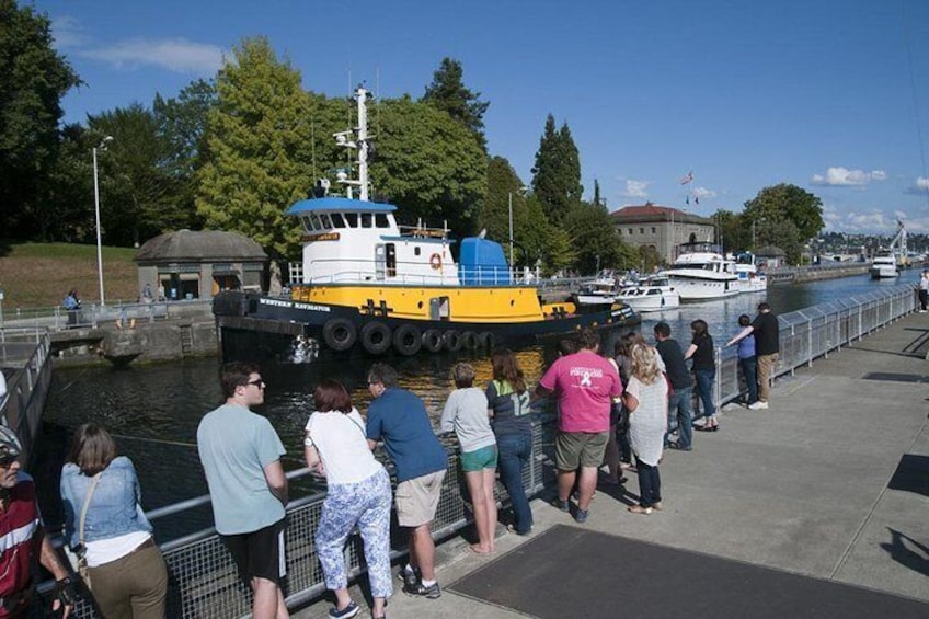 Ballard Locks