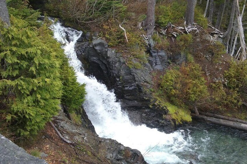 Mt. Rainier Private Tour Experience in SUV