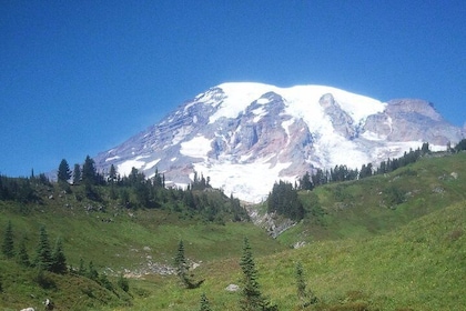 Mt Rainier Private Tour Experience i SUV