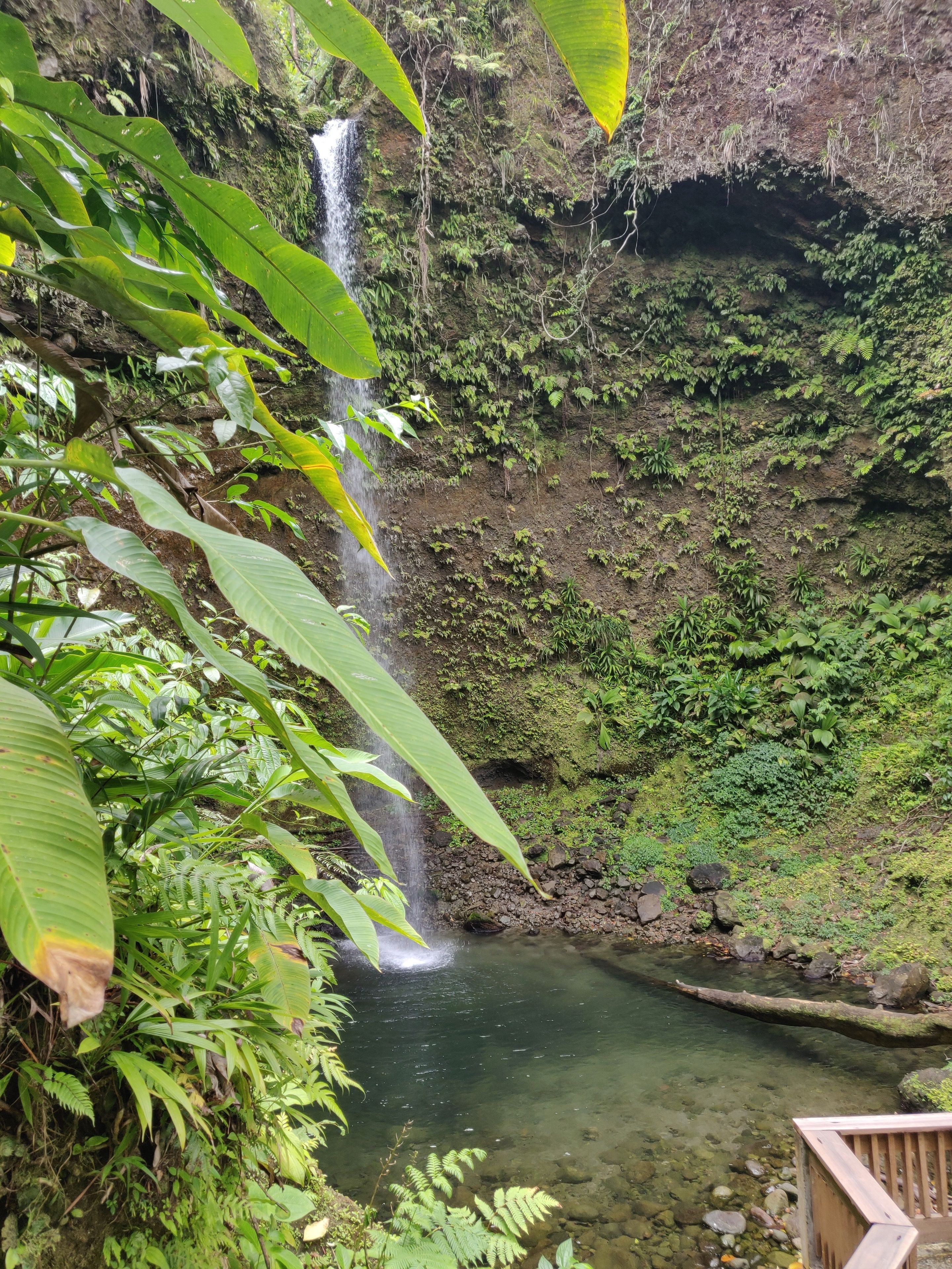 Dominica Waterfall Experience 