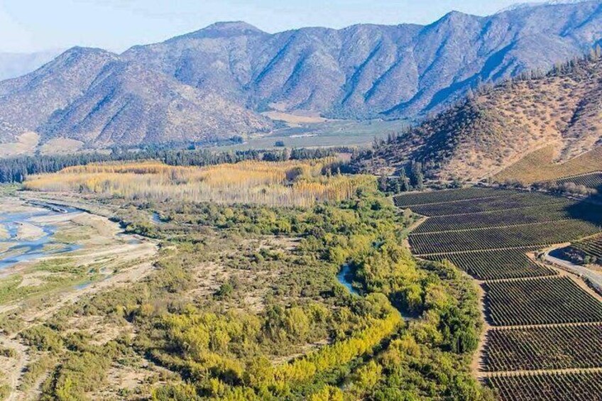 Tarapaca vineyard. Isla de Maipo wine lovers premium tour