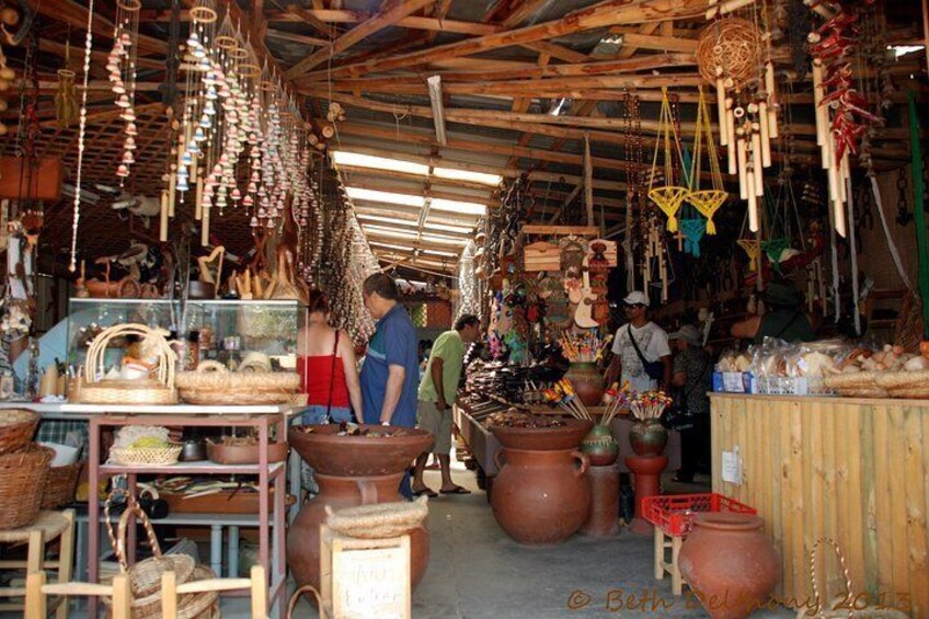 Santiago: Private full day tour Pomaire & Isla Negra, include entrace
