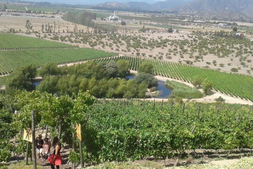 Casablanca Valley - The Wine Route - " The paradise of the wineries"