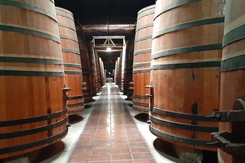 Private Colchagua Valley wine tour all inclusive from Santiago