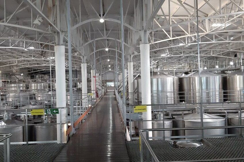 Private Colchagua Valley wine tour all inclusive from Santiago