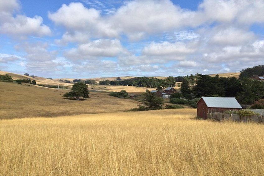 Farmhouses and barns dot the countryside of West Marin’s ranchlands.