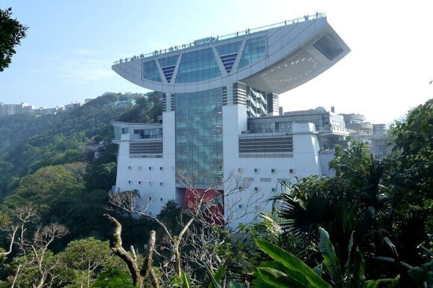 Skip the Line! Walk to the Peak Audio Tour by VoiceMap