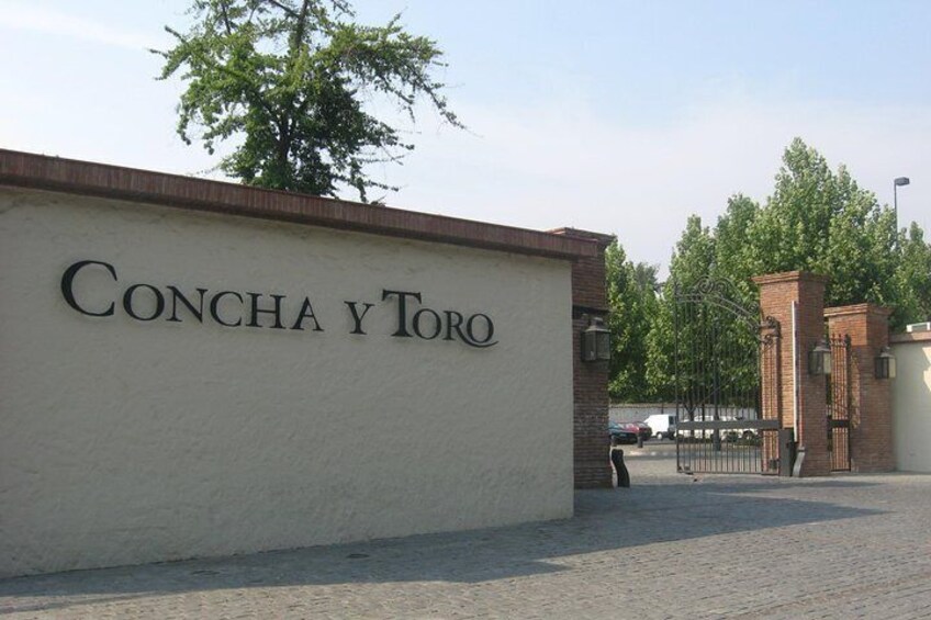 Santiago: Half day visit to Concha y Toro vineyard, include entrace & transport
