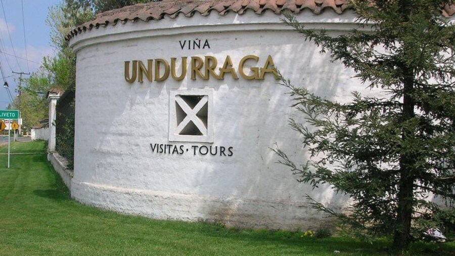 Santiago: Half day Visit to Undurraga vineyard, entrance and transport included