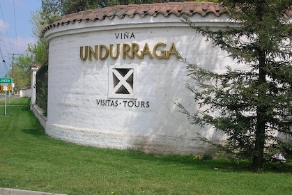 Santiago: Half day Visit to Undurraga vineyard, entrance and transport incl...