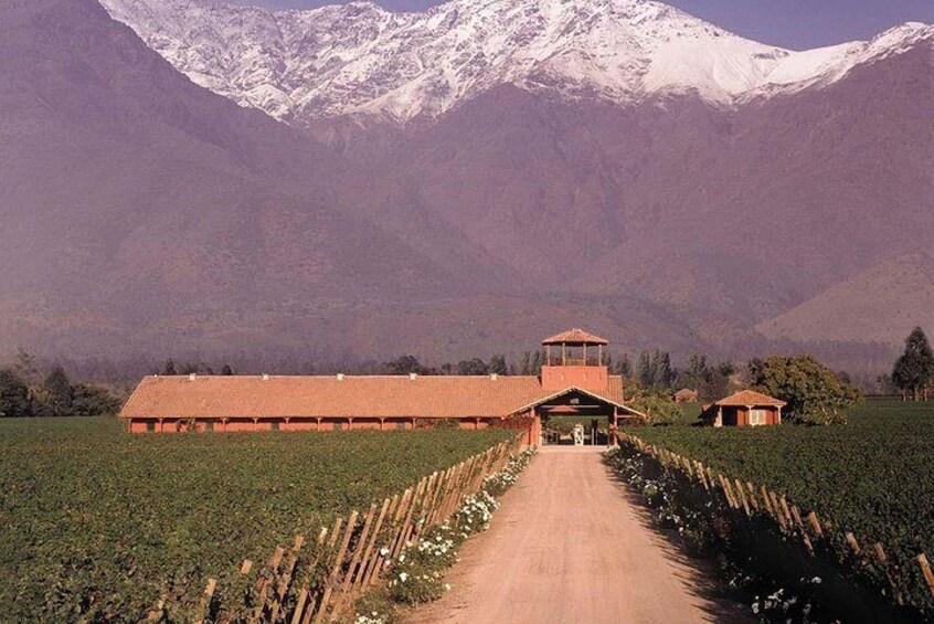 Visit Aquitania winery