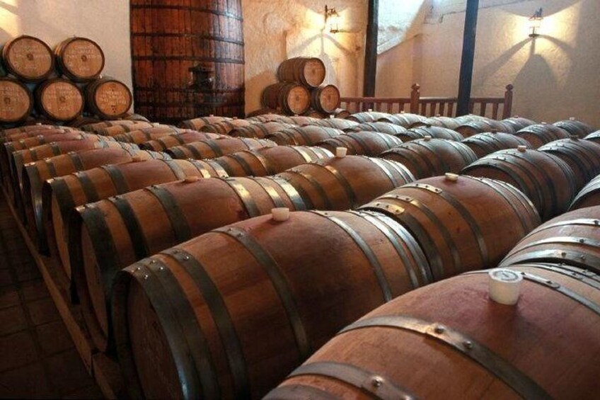 Concha y Toro