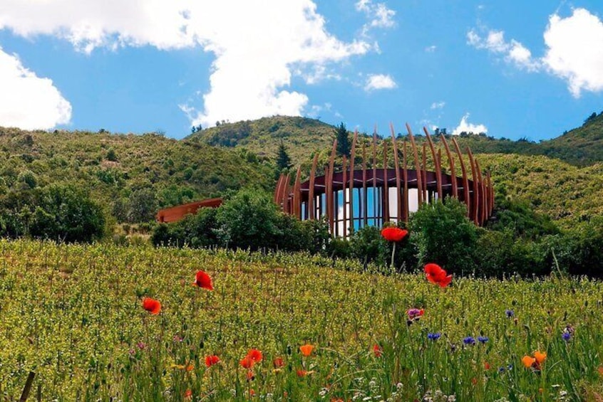 Santiago Full day tour to Colchahua Valley, include entraces