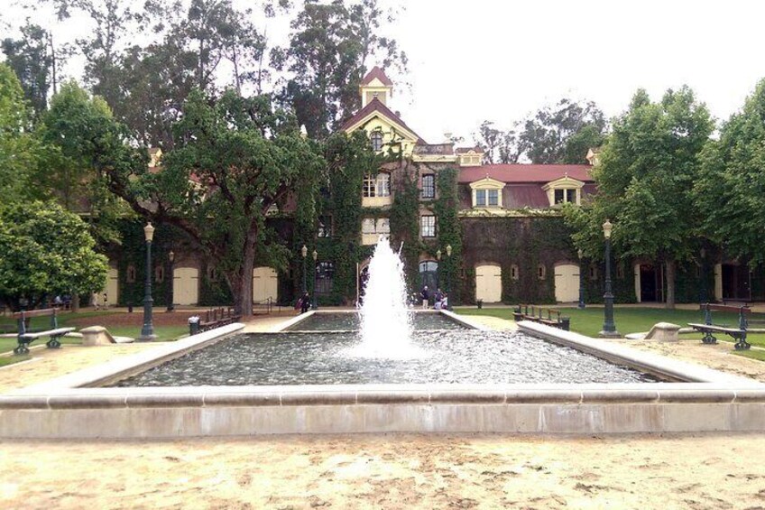 8 Hour Private Sonoma or Napa Wine Tasting Tour (Sedan, SUV or Limo)