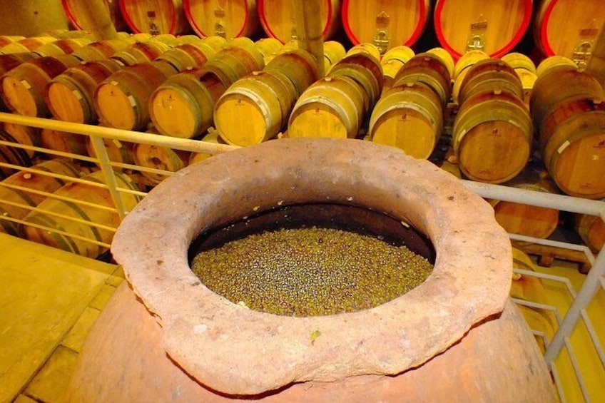 Casablanca Valley Wine Tasting Including 4 Vineyards