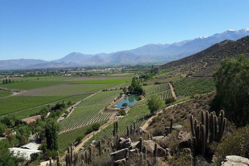 Portillo Inca Lagoon at The Andes Mountains and San Esteban Vineyard from Santiago