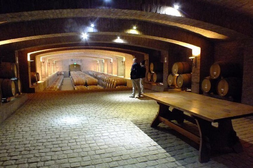Maipo Valley Wine Tour Including 3 Vineyards and Country Town of Isla de Maipo