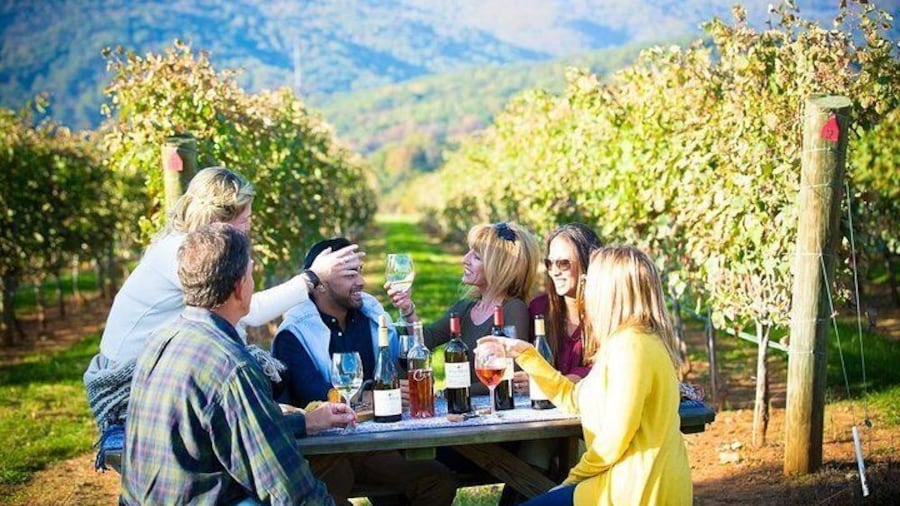 Maipo Valley Wine Tour