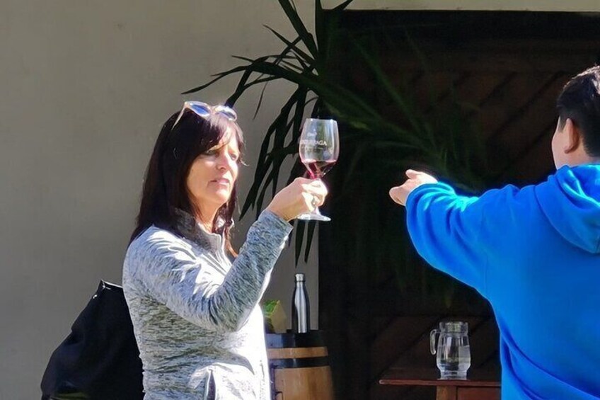 Maipo Valley Wine Tour Including 3 Vineyards and Country Town of Isla de Maipo