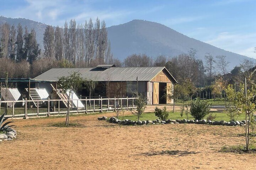 Maipo Valley Wine Tour with 3 vineyards and Countryside from Santiago.