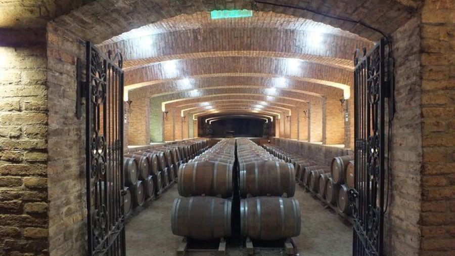 Maipo Valley Wine Tour with 4 vineyards from Santiago.
