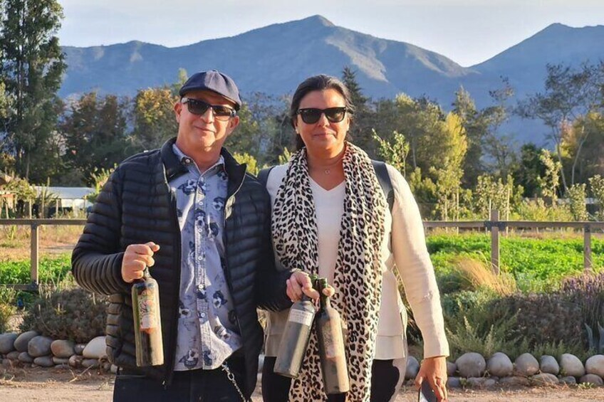 Maipo Valley Wine Tour Including 3 Vineyards and Country Town of Isla de Maipo