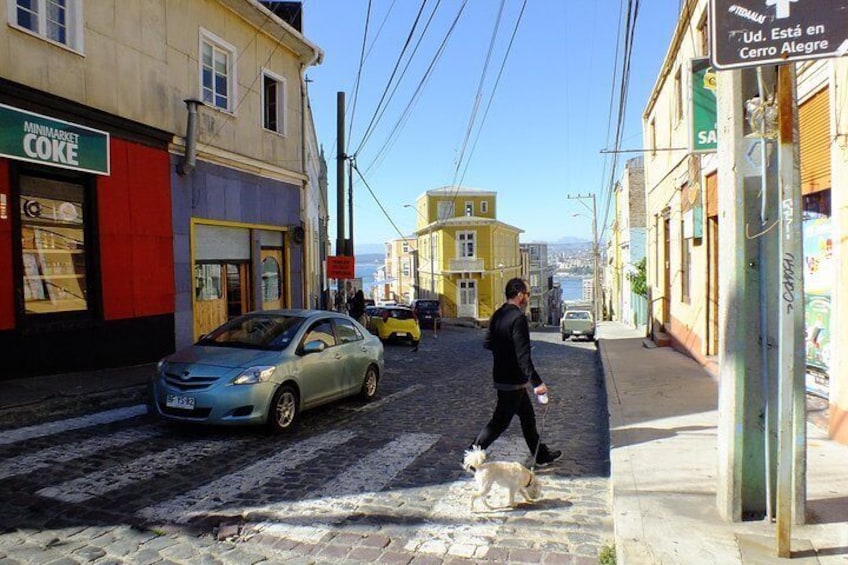 Full-Day Tour of Valparaiso Port and Viña del Mar from Santiago