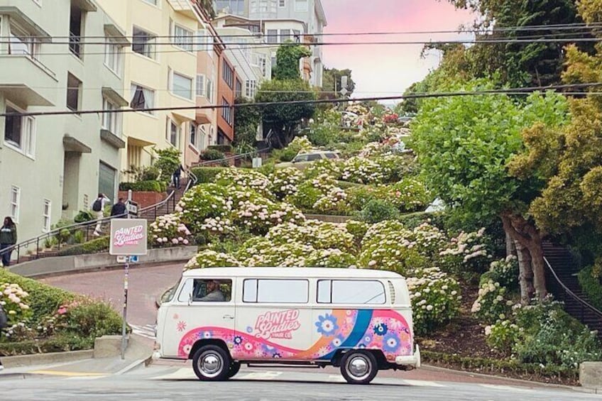 Painted Ladies San Francisco City Tour