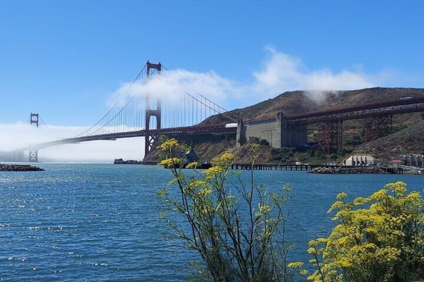 Muir Woods and Sausalito Small-Group Tour