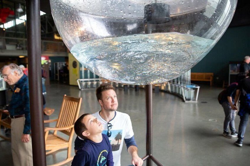 Fun-filled learning for the whole family is an integral part of the Exploratorium experience.