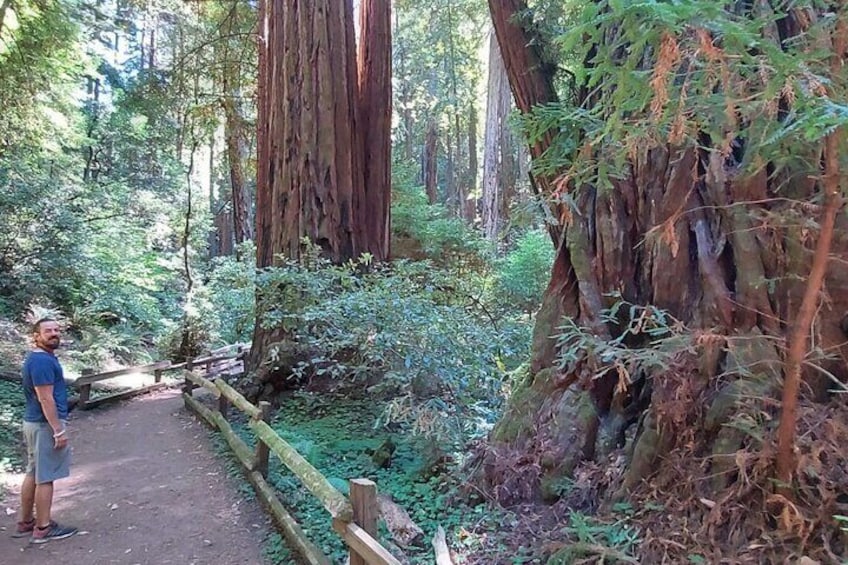 Alcatraz with Muir Woods and Sausalito Tour