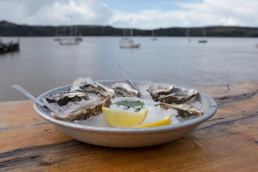 Oysters at Tomales Bay