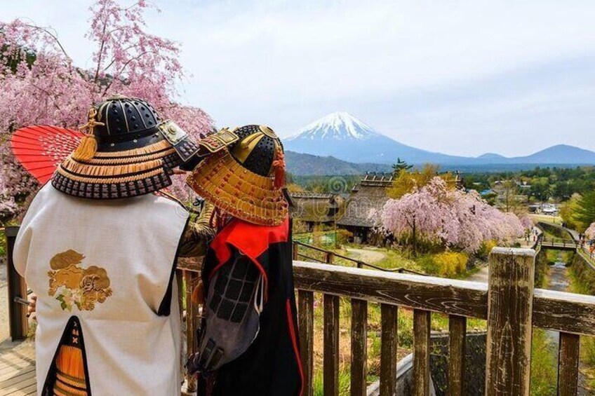 Mt Fuji Private customize tour with English speaking Driver 