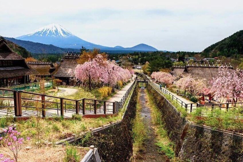 Mt Fuji Private customize tour with English speaking Driver 