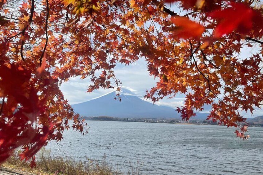 Mt Fuji Private customize tour with English speaking Driver 