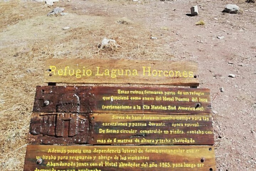 Full Day Trip to Aconcagua Park Argentina and Inca's Lagoon from Santiago