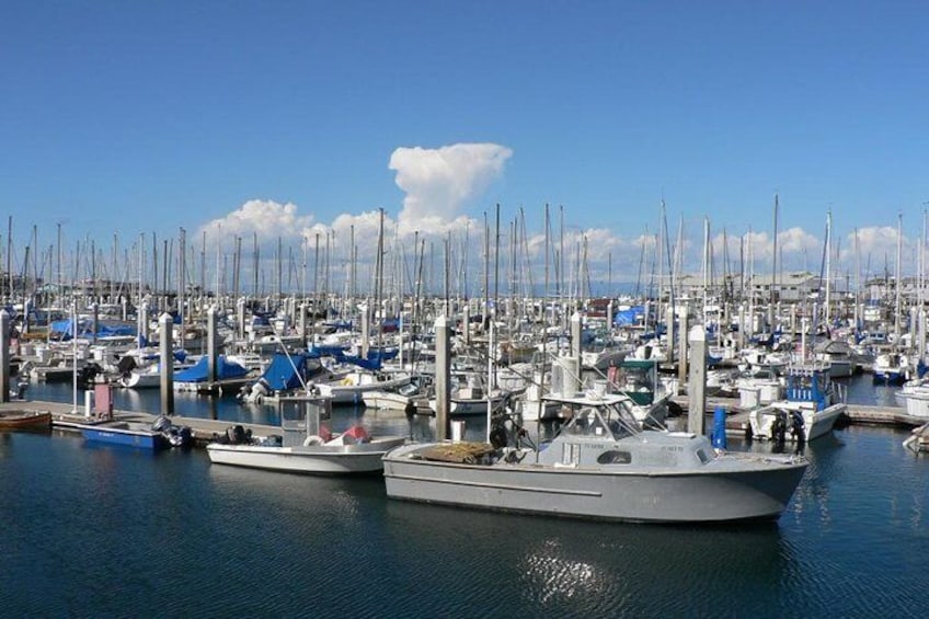 Monterey Marina
