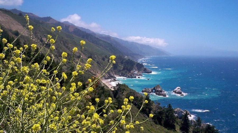 Monterey California Coast