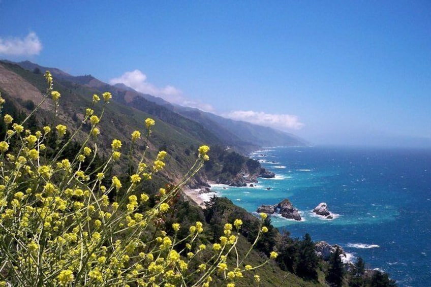 Monterey California Coast 