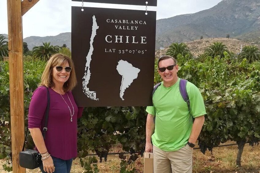 Wine Tasting Tour from Santiago: Casablanca Valley and Four Vineyards