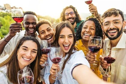 Dégustation de vins au départ de Santiago : la vallée de Casablanca et quat...
