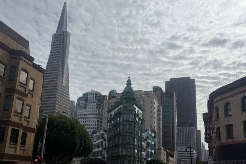 Muir Woods, Golden Gate Bridge + Sausalito with Optional Alcatraz