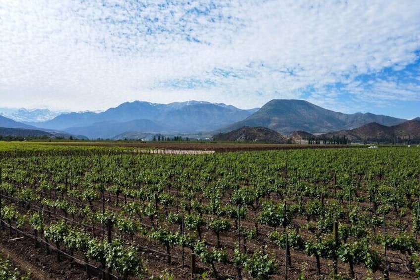 Inca Lagoon in Andes Mountain Range - Visit Local Vineyard with Tasting included