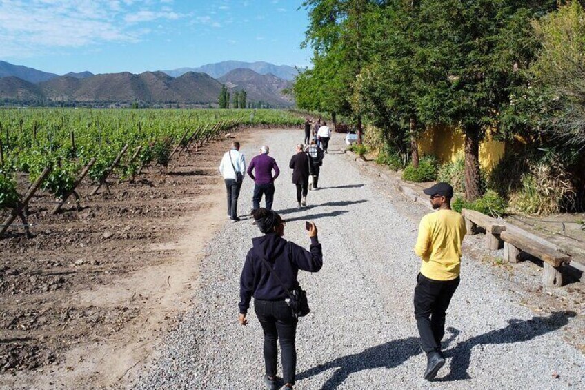 Inca Lagoon in Andes Mountain Range - Visit Local Vineyard with Tasting included