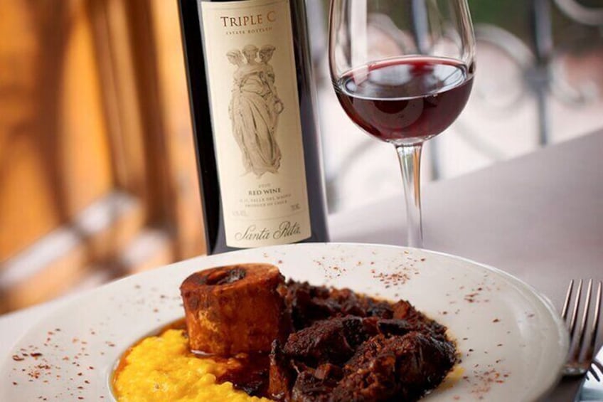 Santa Rita Vineyard Tour with Lunch An unforgettable experience!