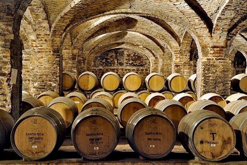 Santa Rita Vineyard Tour with Lunch An unforgettable experience!