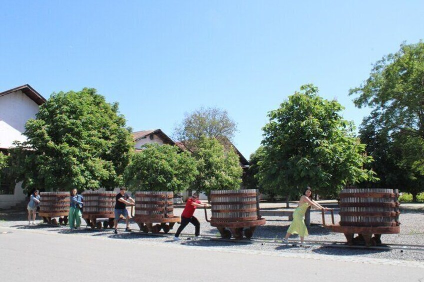 From Santiago: Vina Santa Rita Tour Bicycle and Picnic