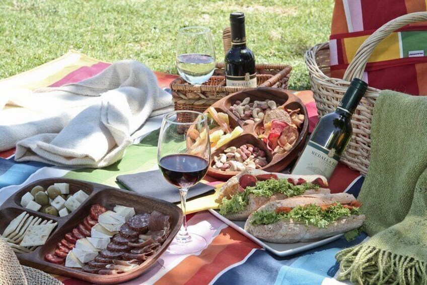 Tour Viña Santa Rita: History, Wine and Picnic Outdoors