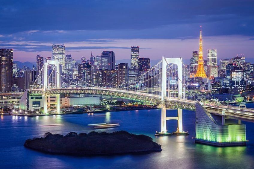 Tokyo Private Chauffeur Driving Sightseeing Tour - English Speaking Driver
