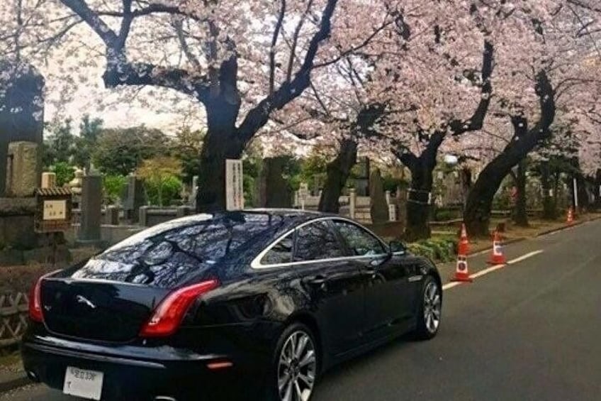 Tokyo Private Chauffeur Driving Sightseeing Tour - English Speaking Driver